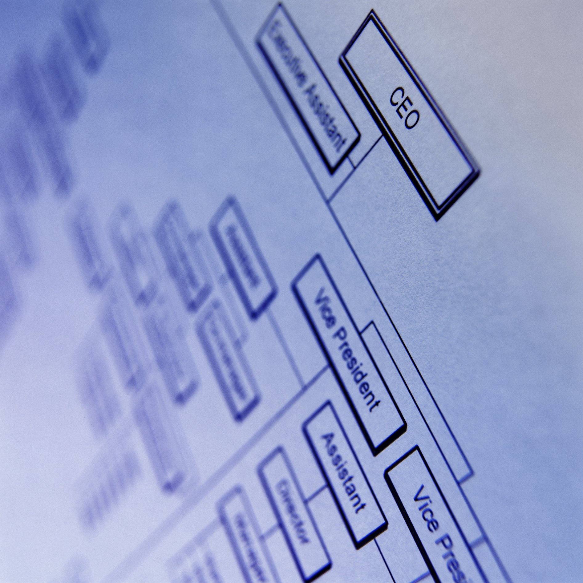 Detail of an Organizational Chart